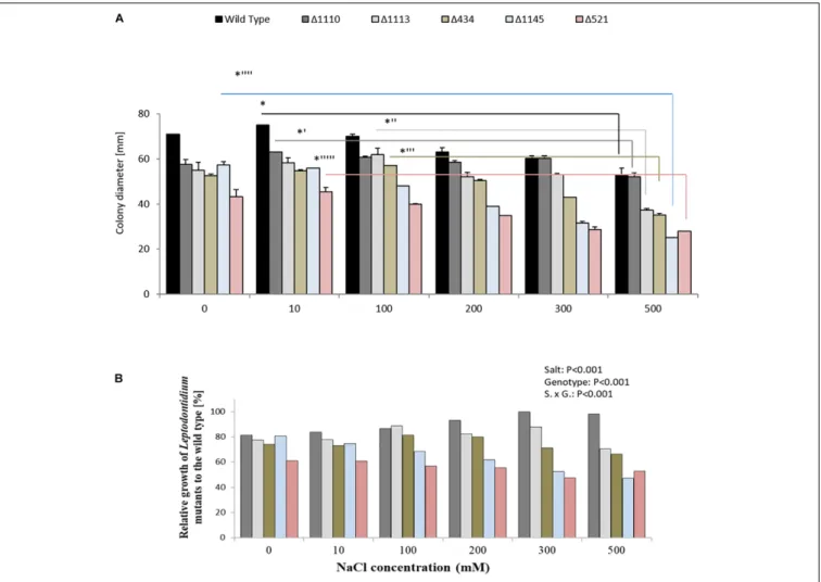 FIGURE 7 | Impact of genotype and salt stress on growth of isogenic albinos and wild-type Leptodontidium sp