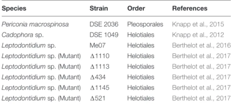 TABLE 1 | List of dark septate endophytic fungal strains used in this study.