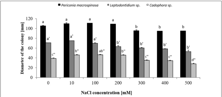 FIGURE 1 | Growth of Periconia macrospinosa, Leptodontidium sp., and Cadophora sp. under salt stress