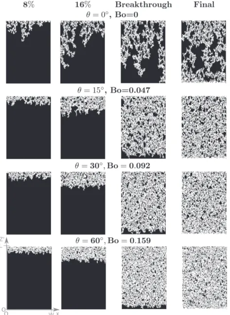 Figure 3. Snapshots from network simulations with Bond numbers comparable to those set by the inclinations in the experiments