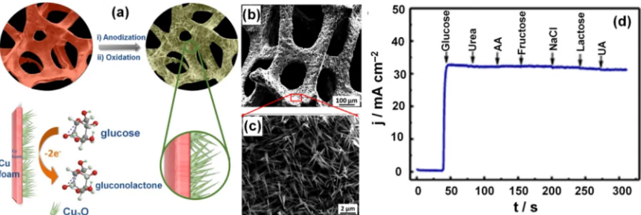 Figure 3. (a) Schematic illustration showing the fabrication of the 3D Cu foam–supported mesoporous Cu 2 O nanothorn array electrode and its function in the electrocatalytic oxidation of glucose;