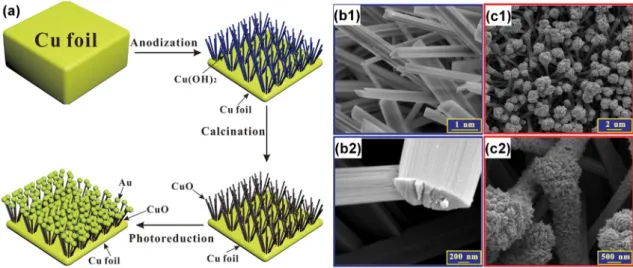 Figure  4.  (a)  Schematic  illustration  of  the  preparation  of  Au/CuO  nanocauliflower  composites; 