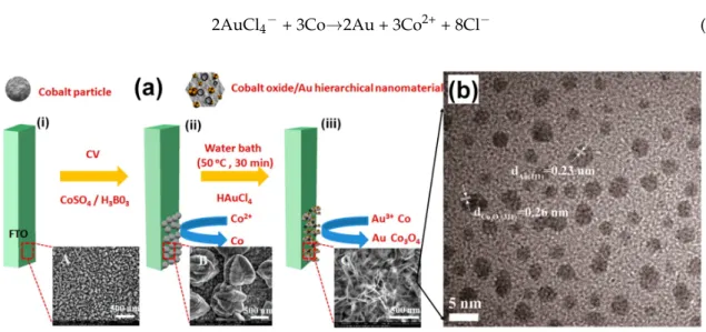 Figure  6.  (a)  Scheme  for  fabrication of cobalt  oxide/Au  hierarchically  nanostructured  electrode:  (i)  FTO; (ii) cobalt particles and (iii) Co 3 O 4 /Au hierarchically nanostructured material; (b) TEM images  of Co 3 O 4 /Au  hierarchically  nanos