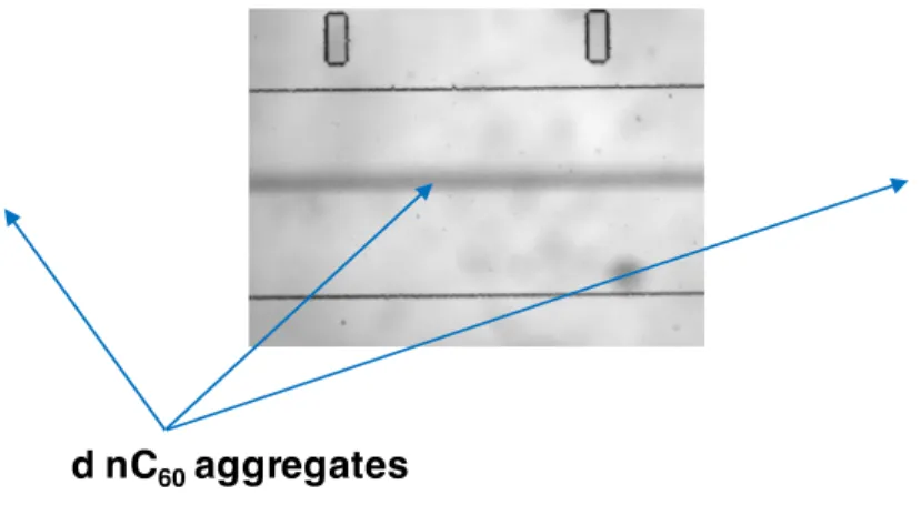 Figure  3: Illustration of the MD with deposition of nC 60   micron-sized aggregates in the center of the channel (dark lines) 