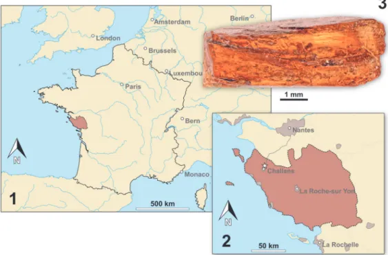 FIGURE  4.  Map  of  France  (4.1)  and  a  detailed  map  of  the  Vendée  department  (reddish)  (4.2)