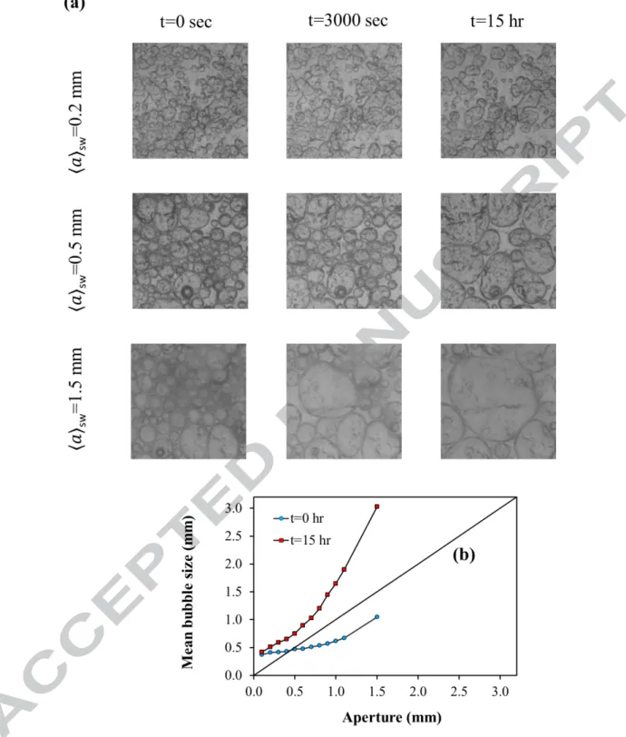 FIGURE  7.  (a)  Bubbles  observed  in  different  sub-windows  of  the  aperture  plane,  at  successive  times  0  s,  3000  s,  and  15  h  after  the  flow  has  been  stopped