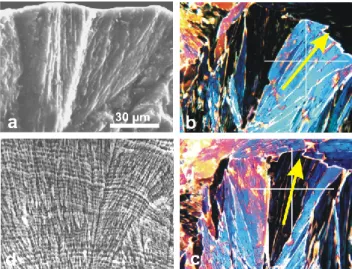 Fig. 1. Differences between XANES spectra from four sulfur or- or-ganic bounds and sulfur in a calcium sulfate