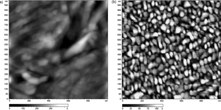 Fig. 3. AFM topography in contact mode of the platinum-coated quartz after 20 voltammetric sweeps (a) compared to (b) the bare platinum surface.