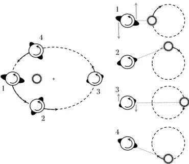 Fig. 2. Desynchronising mechanism of eccentricity tides. Tidal bulge raised on a planet by the host star in the heliocentric reference frame (left) and in a planetocentric reference frame rotating with the planet mean motion (right)
