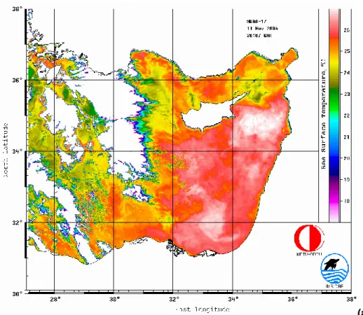 Fig. 7. (a) Satellite sst image on 11 November 2004, (b) forecast currents and temperature at 10 m depth for a 5 day forecast on 8 November 2004, 12:00 UTC (c) same for 22  Novem-ber 2004 and (d) 6 December 2004, (e) sst image on 11 January 2005 (f) sst im