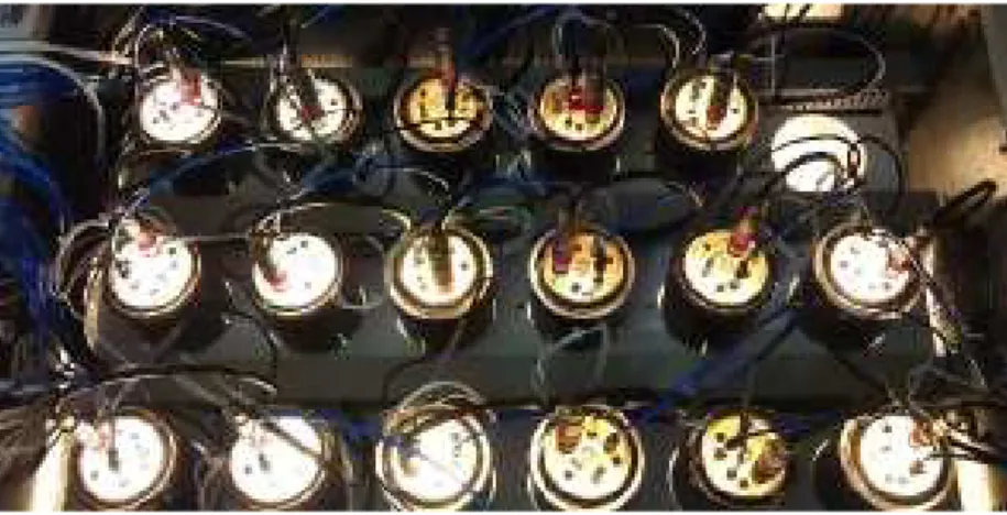 Figure 1: The TIP system. The device has 18 batch photobioreactors for microalgae cultivation.