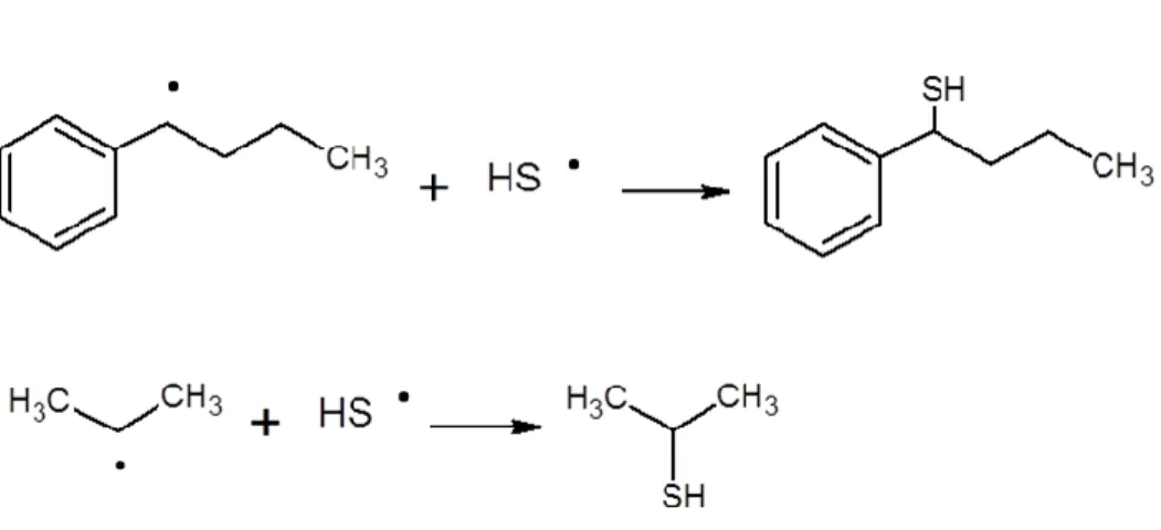 Figure  7.  Examples  of  termination  by  recombination  between  HS . and  1-phenylbutyl  radical,  and  between HS 