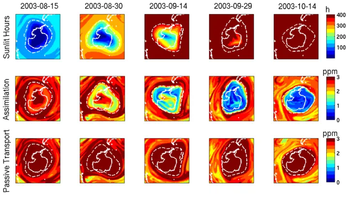 Fig. 5. Assimilated fields of ozone on the 475 K potential temperature level compared to fields passively transported from 1 August of 2003.