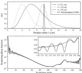 Fig. 2. CASI observation for 26 June 1997 (left); the length of the flight leg is 10 km and the width of the strip is 1.2 km at cloud top; the dark band in the center is the aicraft shadow