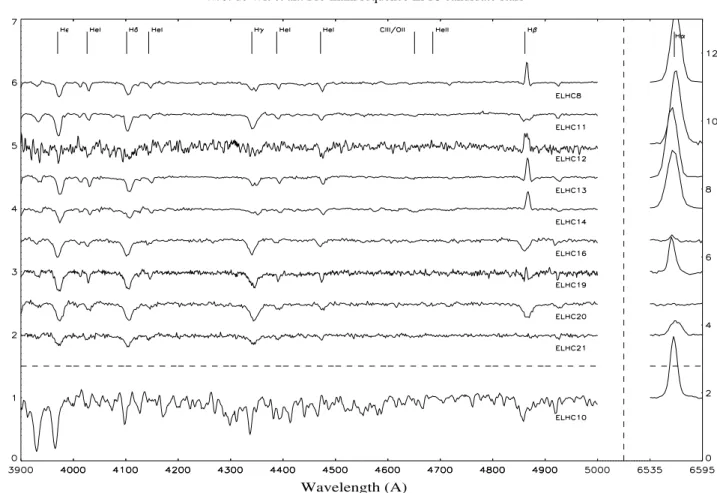 Fig. 1. The spectra of the target stars in the interval 3900 Å–5000 Å and the wavelength region at Hα 