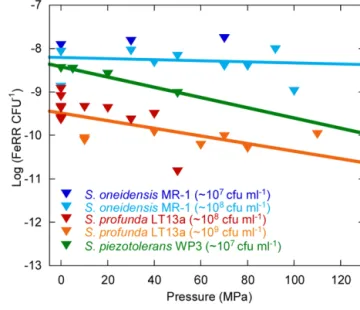 FIGURE 5 | Influence of pressure on the average cellular Fe(III) reduction rates (initial FeRR CFU –1 )
