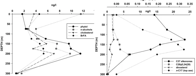 Fig. 4. Depth distribution of selected lipid biomarkers in the suspended particles from the gyre.