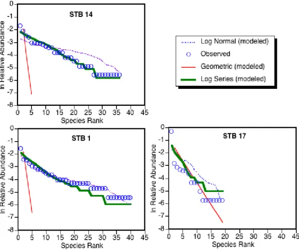 Fig. 5. Examples of species abundance distributions. Station STB 14 shows the most common pattern (15 of 21 data sets) of the log-series distribution providing the closest fit to the actual data