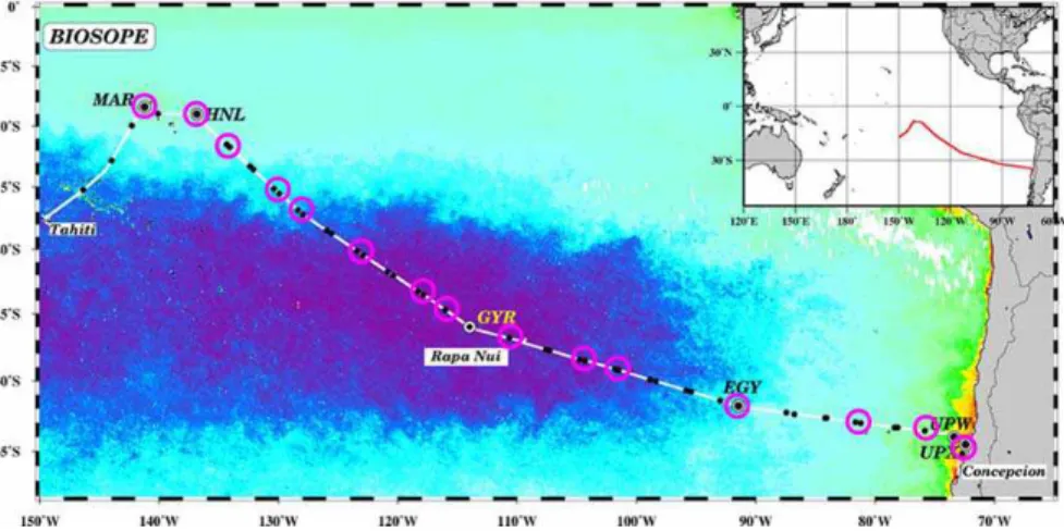 Fig. 1. Map of the BIOSOPE cruise track superimposed on a SeaWiFS ocean colour compos- compos-ite, the dark purple indicating extremely low values (0.018 mg m − 3 ) of total chlorophyll a