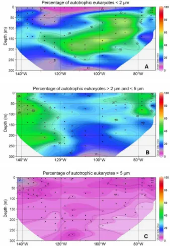 Fig. 8. Distribution of the percentage of autotrophic eukaryotes smaller than 2 µm (A), between 2 µm and 5 µm (B), and larger than 5 µm (C) in comparison with the total eukaryotes