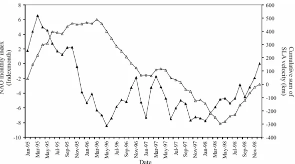 Fig. 7. Cumulative NAO (index month; black triangles) and cumulative geostrophic current (white triangles) derived from altimeter sea level anomaly (km) over the period 1995–1998.