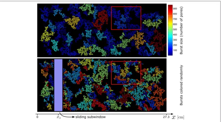 FIGURE 5 | Invasion until final saturation for the CIP boundary condition, using the same model shown in Figure 3