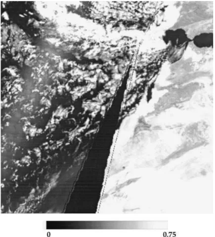 Fig. 1. ADEOS-POLDER composite image constructed from top of atmosphere reflectance at 0.865 mm for a