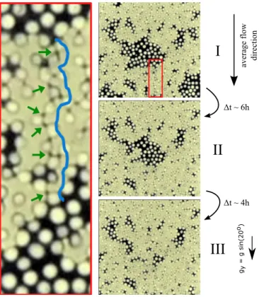 FIG. 2. Sequence of images showing the drainage of a supposedly trapped liquid cluster