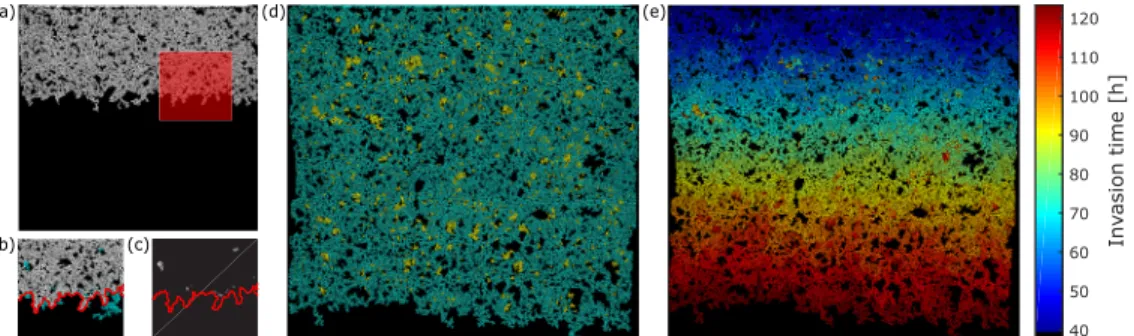 FIG. 5. Identification of film flow events. (a) A typical snapshot of the experiment with an inclination of 20 ◦ , after thresholding to isolate the invading air phase (white)