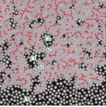 FIG. 6. Capillary bridges tracking. The red lines connect the centers of beads through which a continuous capillary bridge connection exists
