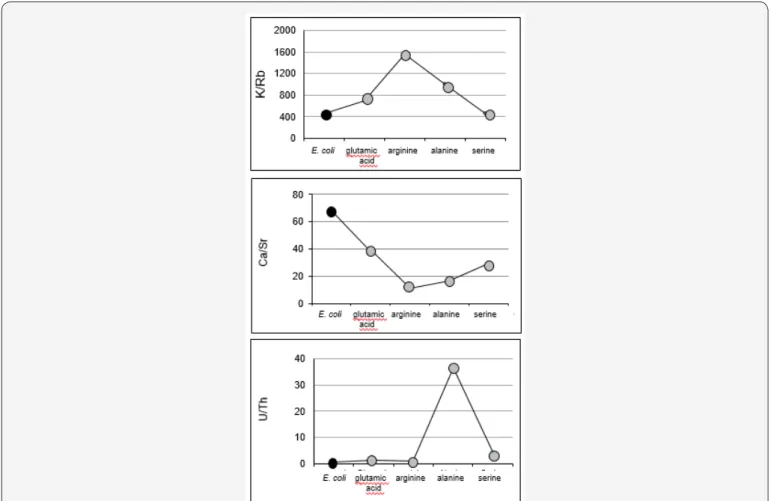 Figure 6: Released K/Rb, Ca/Sr and U/Th ratios by E. coli (as a black dot) and by different amino acids (as gray dots).