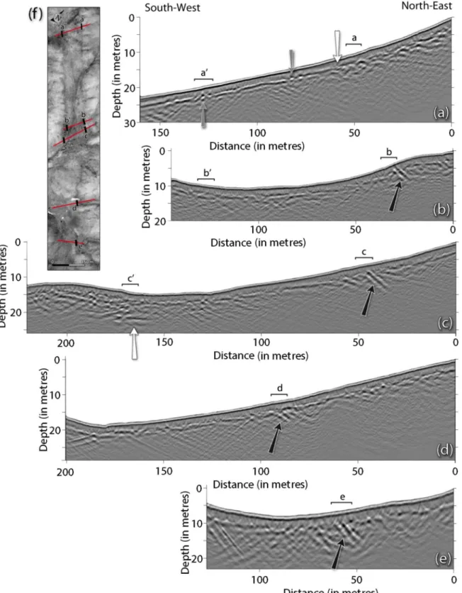 Figure 11. 50 MHz GPR profiles (RTA). All the profiles are equally scaled with a vertical exaggeration of 1.8