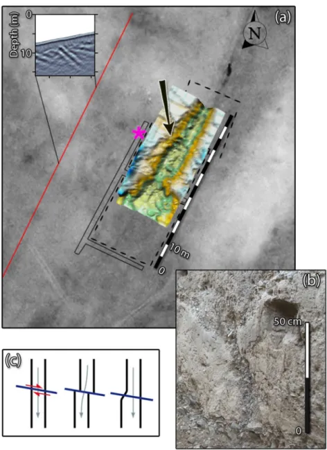 Figure 13. (a) Interpretation map of Z2 area. The interpolated 3-D surface of the channel (after subtraction of its main slope) is superimposed on the satellite image