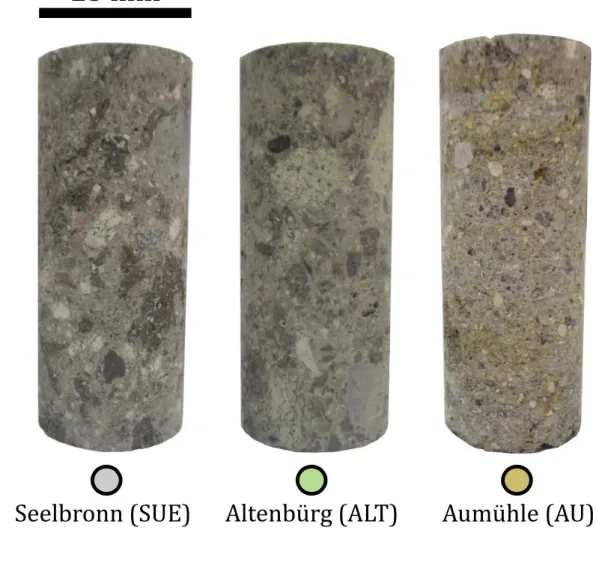Figure  2.  Photographs  of  representative  25  mm-diameter  cylindrical  core  samples 778 