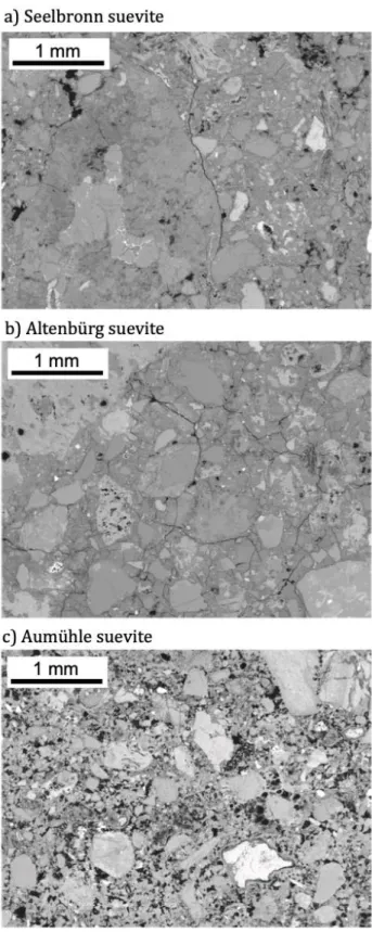 Figure 3. Backscattered electron microscope images of impact melt-bearing breccias 782 