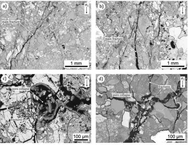 Figure 9. Backscattered electron microscope images of deformed samples of impact 811 