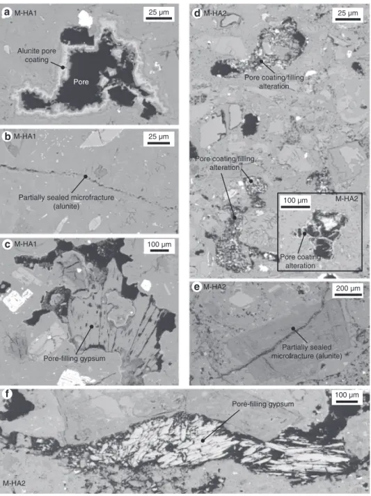 Fig. 2 Porosity- ﬁ lling alteration. Backscattered scanning electron microscope images showing a a pore that is partly ﬁ lled with alunite in block M-HA1, b a fracture partially sealed by alunite precipitation in block M-HA1, c a pore ﬁ lled with gypsum an