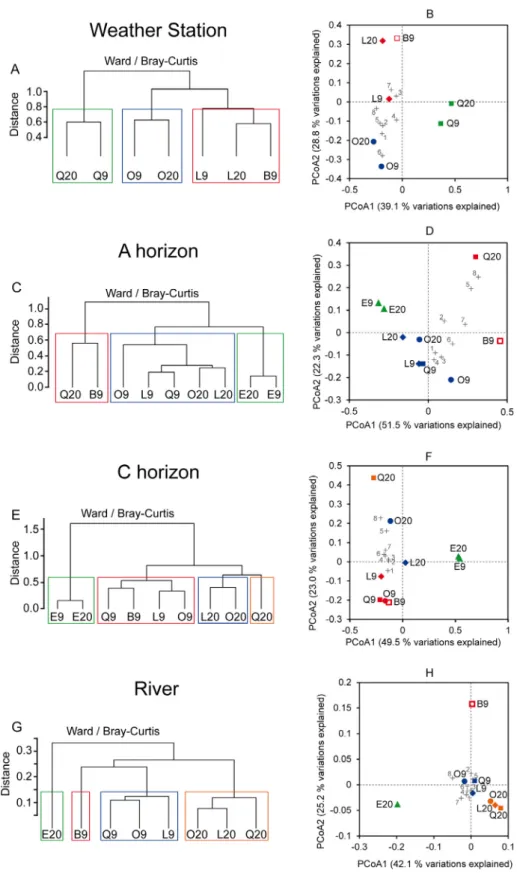 Fig. 9. Statistical analyses of the composition of microbial communities of the environmental probes incubated at the weather station (A,B), in the A horizon (C,D), in the C horizon (E,F), and in the stream (G,H) after 9 and 20 months of incubation