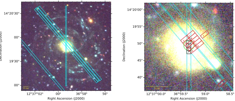Fig. 1. Left: colour composite image of Malin 1 from the CFHT-Megacam NGVS (Ferrarese et al