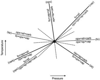 Figure 7. Schreinemakers ’ bundle for the relative positions of the stable PT-univariant curves that emanate from the experimentally determined PT invariance at 2 GPa, shown as “ I ” in Figure 6