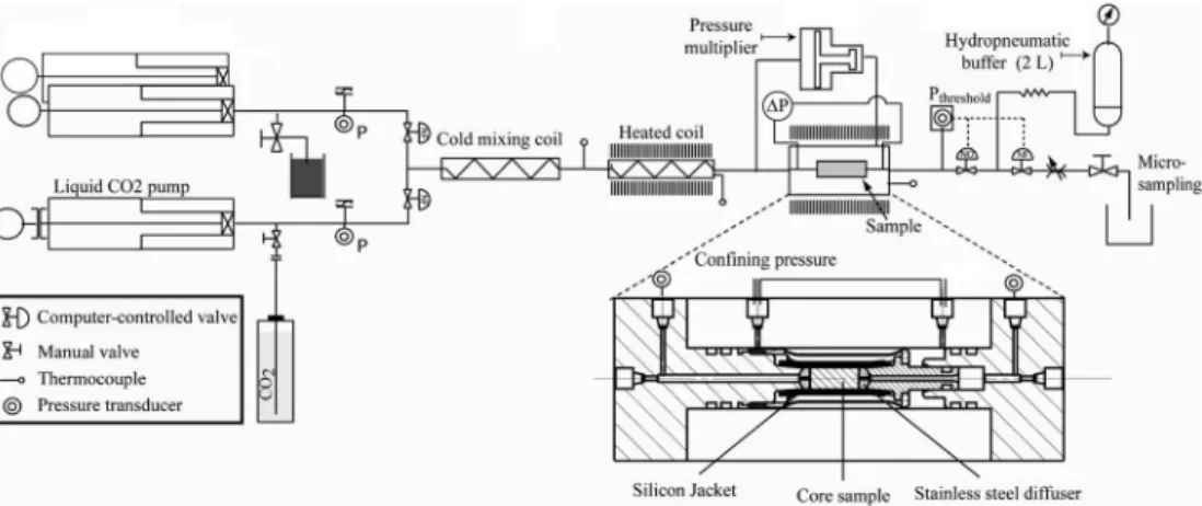Figure 2. (a) Calcium concentration of the outlet ﬂ uid C Ca (t)| out and sampled-average porosity ’ (t) versus time