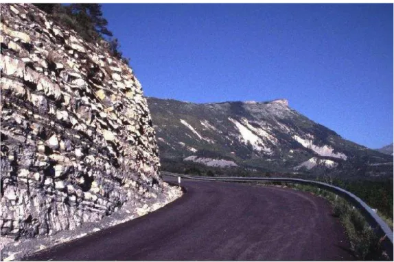 Figure 9. La « vire à Hétérocères », Barrémien supérieur, coupe de la route d’Angles Un  changement  lithologique  important  caractérise  le  sommet  du  Barrémien  inférieur  (zone à Kotetishvilia compressissima et zone à Coronites darsi)