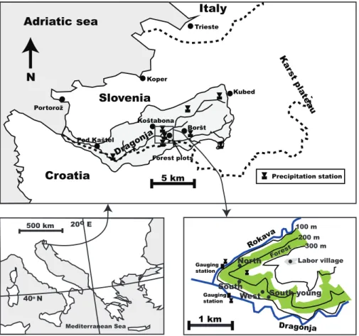 Fig. 2. Map showing the location of the four forest plots and meteorological stations.