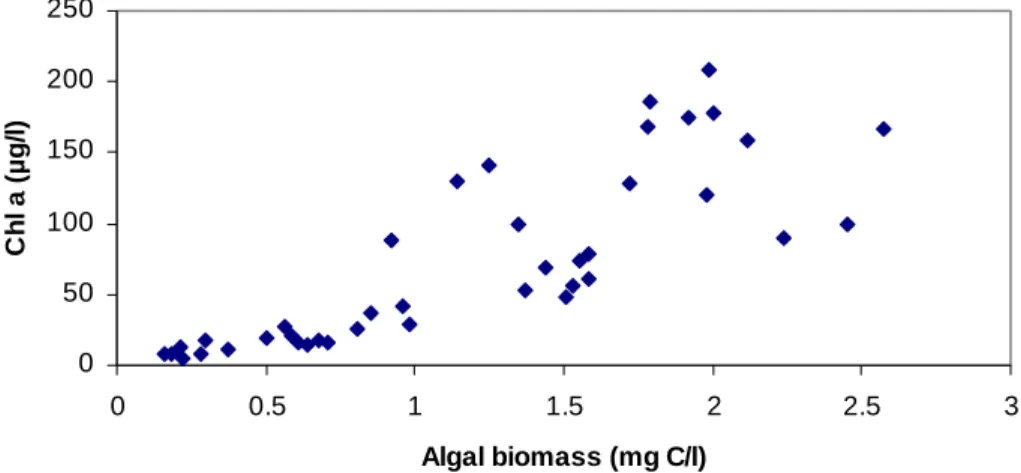 Fig. 5. Relationship between Chl a concentrations and algal biomass of water samples from the river Elbe in 1997.