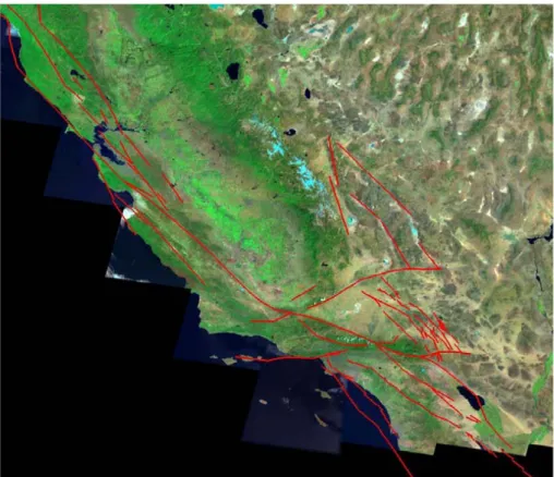 Fig. 1. Fault segments making up Virtual California. The model has 650 strike-slip fault seg- seg-ments, each approximately 10 km in length along strike and 15 km in depth.