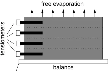 Fig. 1. Schematic of the standard setup of evaporation experiments.