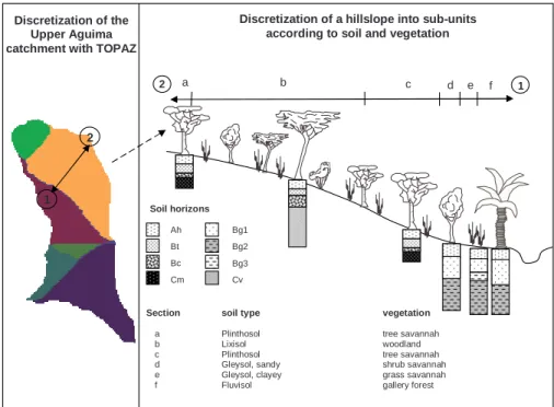 Fig. 5. Discretization of a representative hillslope of the Upper Aguima catchment.