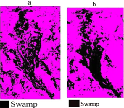 Fig. 3. Two consecutive classification images for Sudd (9 January and 24 February 2004).