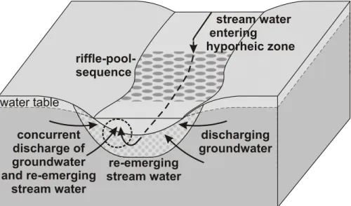 Fig. 2. Exchange flows between groundwater and surface water through the hyporheic zone at a ri ffl e-pool-sequence (after Winter et al., 1998).