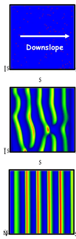 Figure 3: Self-organization of vegetation into a banded pattern for a planar hillslope with  sheet flow